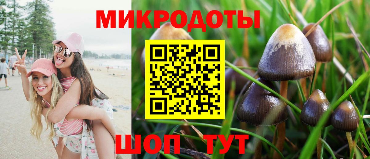 Галлюциногенные грибы Psilocybe Набережные Челны
